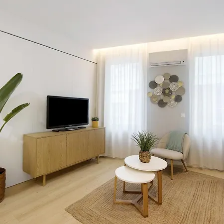 T1 Moliceiros Centro De