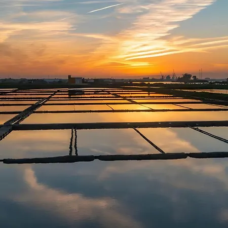 T1 Moliceiros Centro De Apartamento *