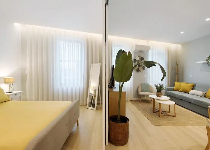 T1 Moliceiros Centro De