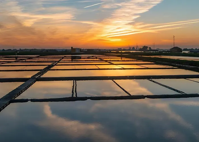 T1 Moliceiros Centro De Appartement *